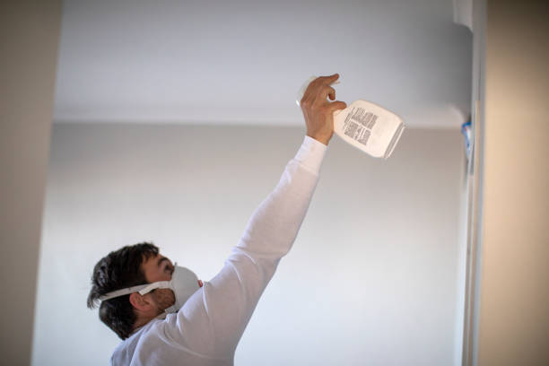 Best Health and Safety Mold Remediation in Evansdale, IA
