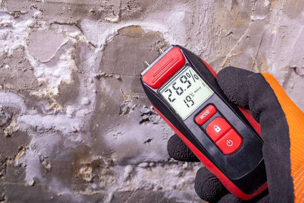 Best Mold Remediation for Schools in Evansdale, IA